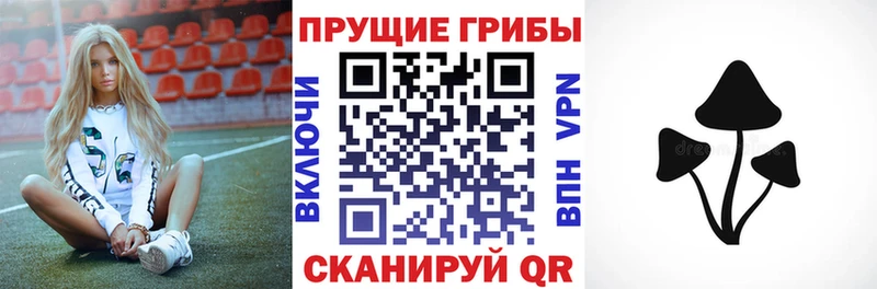 Галлюциногенные грибы MAGIC MUSHROOMS  Купить где  Медвежьегорск 